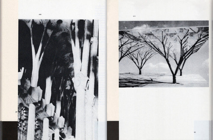 Patterns in Nature by Peter S. Stevens & Yiannis Papadopoulos - Tipi bookshop