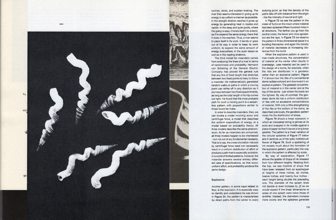 Patterns in Nature by Peter S. Stevens & Yiannis Papadopoulos - Tipi bookshop