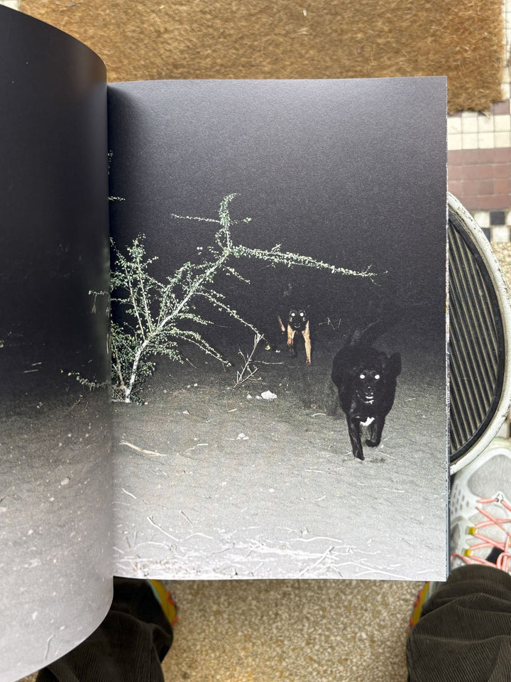 Péi Brilé / Pays brûlé / Burnt Land by Maxime Brygo - Tipi bookshop