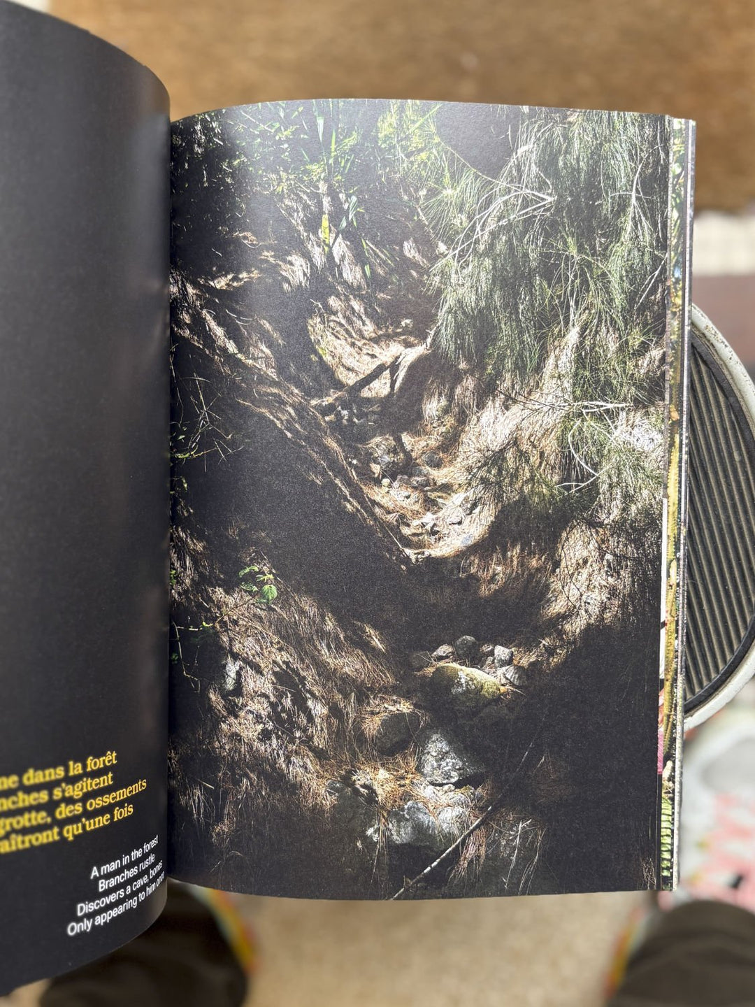Péi Brilé / Pays brûlé / Burnt Land by Maxime Brygo - Tipi bookshop