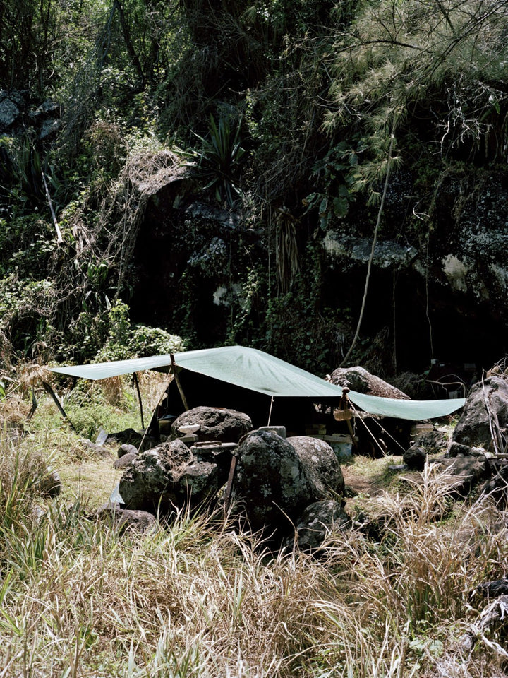 Péi Brilé / Pays brûlé / Burnt Land by Maxime Brygo - Tipi bookshop