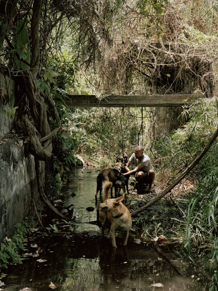 Péi Brilé / Pays brûlé / Burnt Land by Maxime Brygo - Tipi bookshop