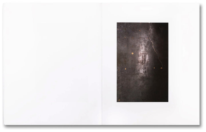 Pharmakon by Teju Cole - Tipi bookshop