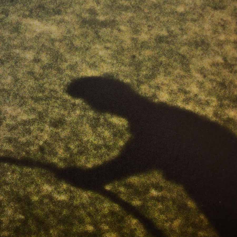 Pictures from Home by Larry Sultan - Tipi bookshop