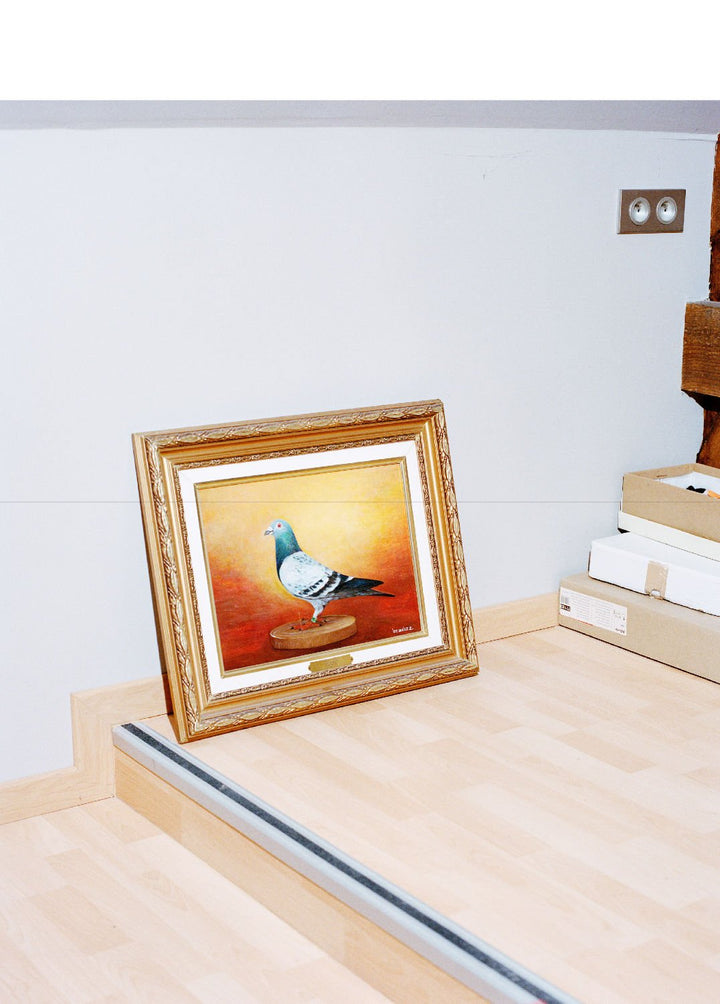 Pigeon Paradise by Lucas Castel - Tipi bookshop