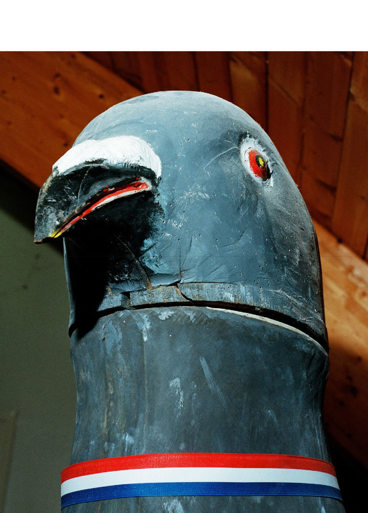 Pigeon Paradise by Lucas Castel - Tipi bookshop