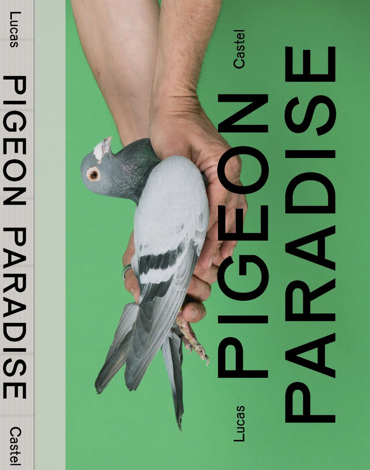 Pigeon Paradise by Lucas Castel - Tipi bookshop