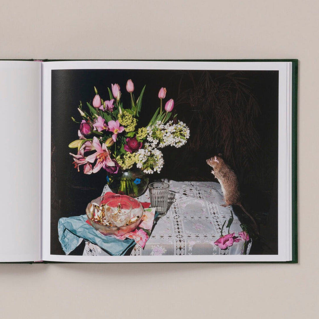 Plates I - XXXI by Lia Darjes - Tipi bookshop