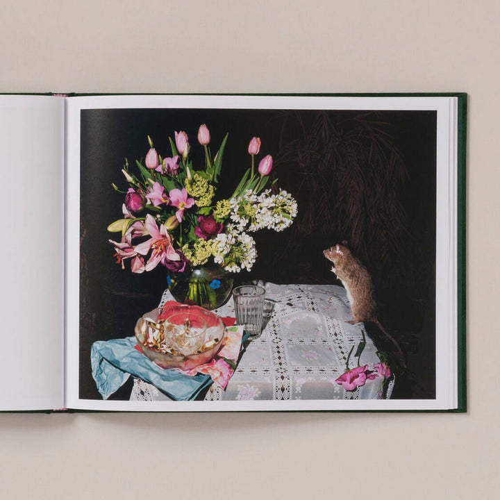 Plates I - XXXI by Lia Darjes - Tipi bookshop