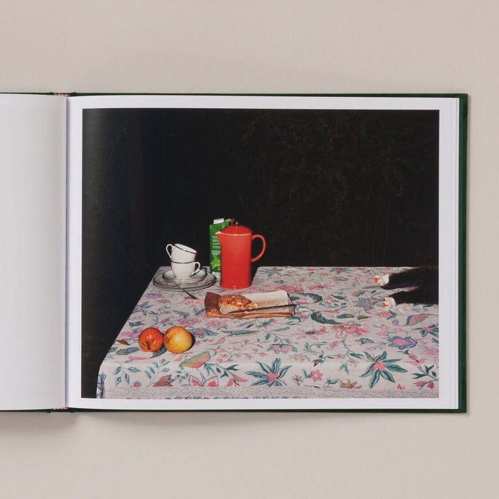Plates I - XXXI by Lia Darjes - Tipi bookshop