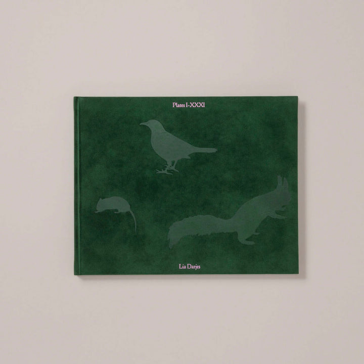 Plates I - XXXI by Lia Darjes - Tipi bookshop