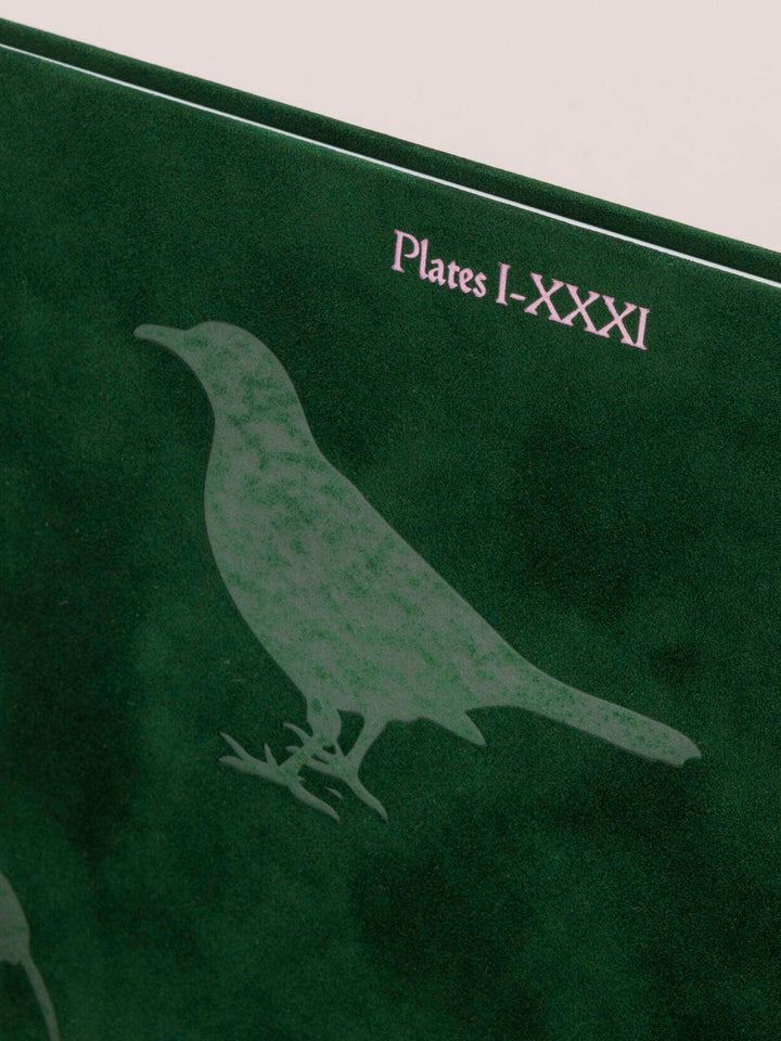 Plates I - XXXI by Lia Darjes - Tipi bookshop