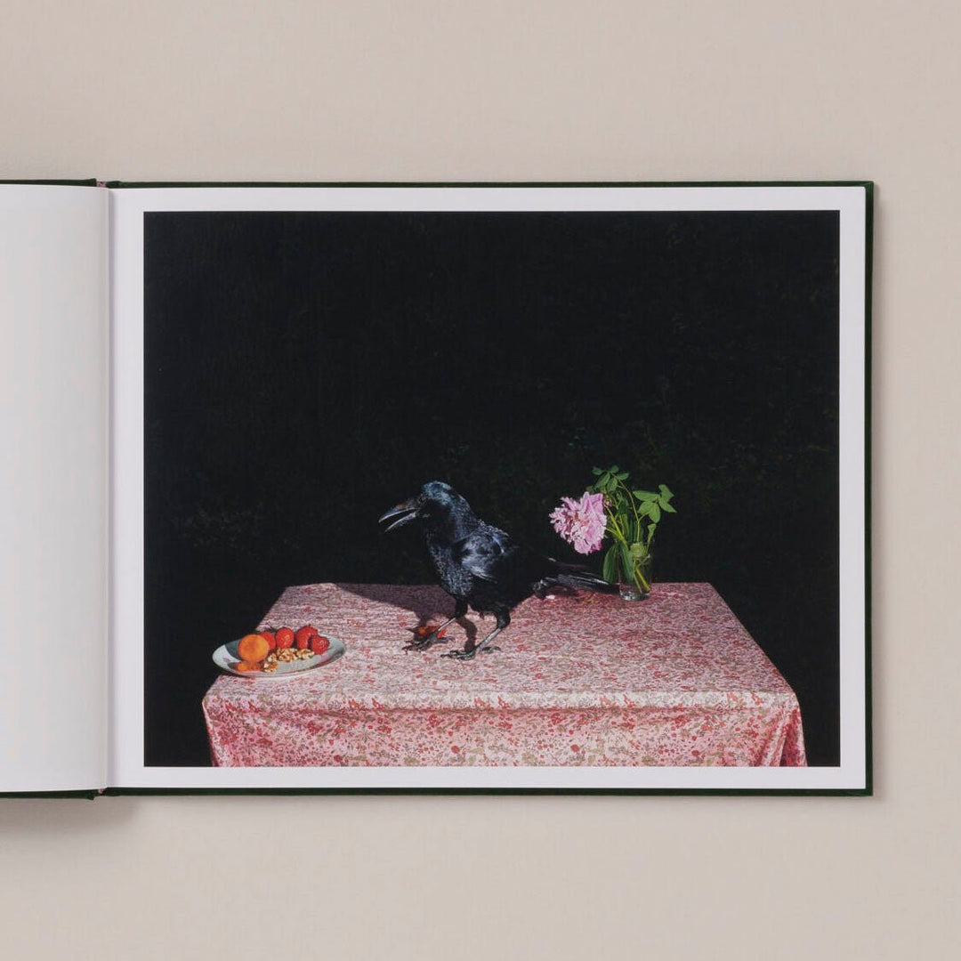 Plates I - XXXI by Lia Darjes - Tipi bookshop