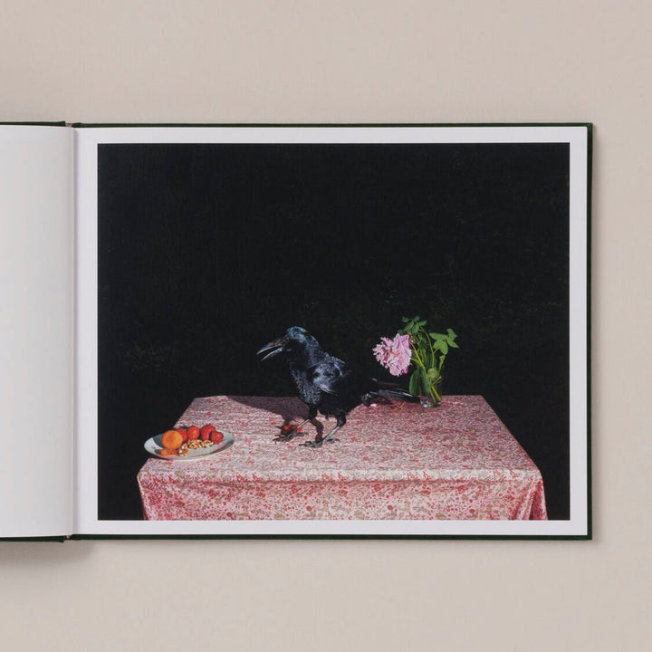 Plates I - XXXI by Lia Darjes - Tipi bookshop