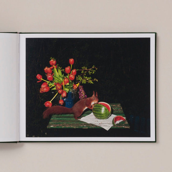 Plates I - XXXI by Lia Darjes - Tipi bookshop