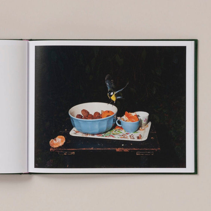 Plates I - XXXI by Lia Darjes - Tipi bookshop