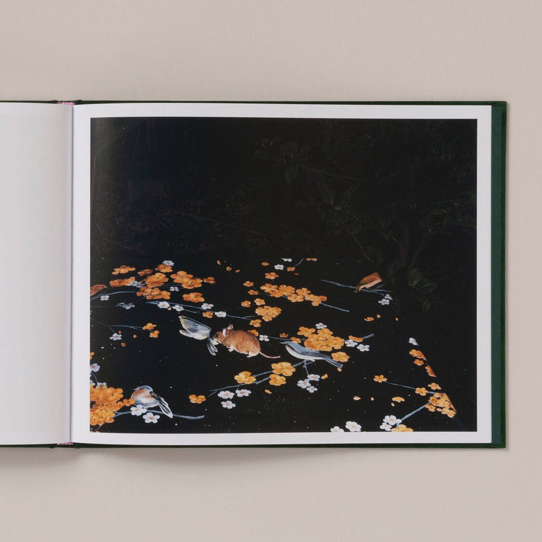 Plates I - XXXI by Lia Darjes - Tipi bookshop