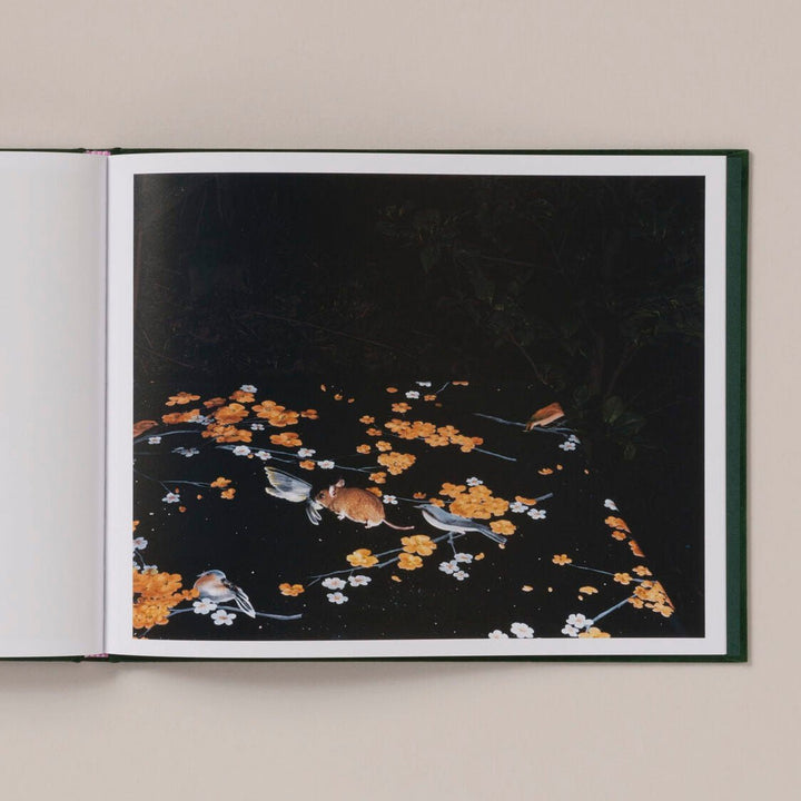 Plates I - XXXI by Lia Darjes - Tipi bookshop