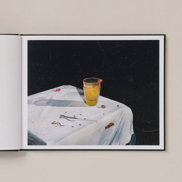 Plates I - XXXI by Lia Darjes - Tipi bookshop