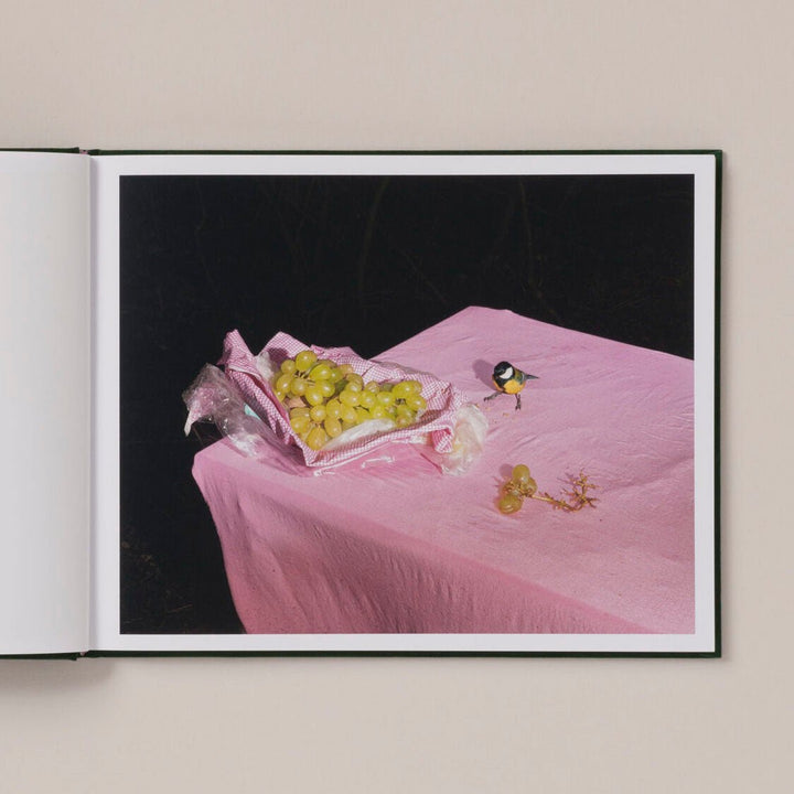 Plates I - XXXI by Lia Darjes - Tipi bookshop