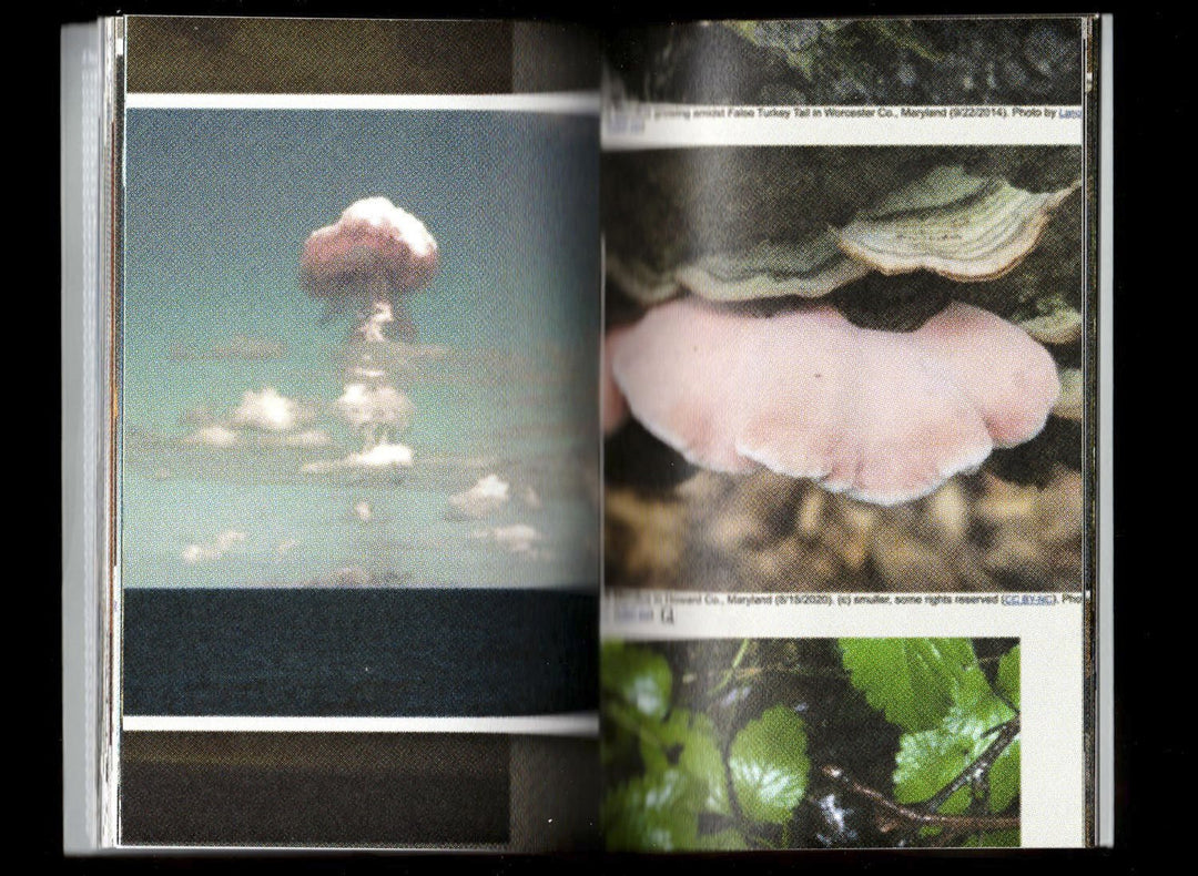 Pyrocumulus, un atlas de champignons by Valia Russo - Tipi bookshop