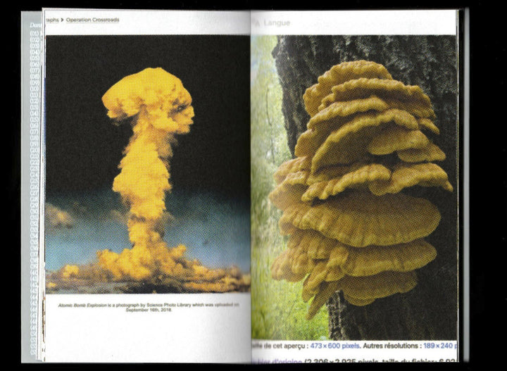Pyrocumulus, un atlas de champignons by Valia Russo - Tipi bookshop