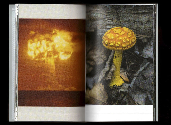 Pyrocumulus, un atlas de champignons by Valia Russo - Tipi bookshop