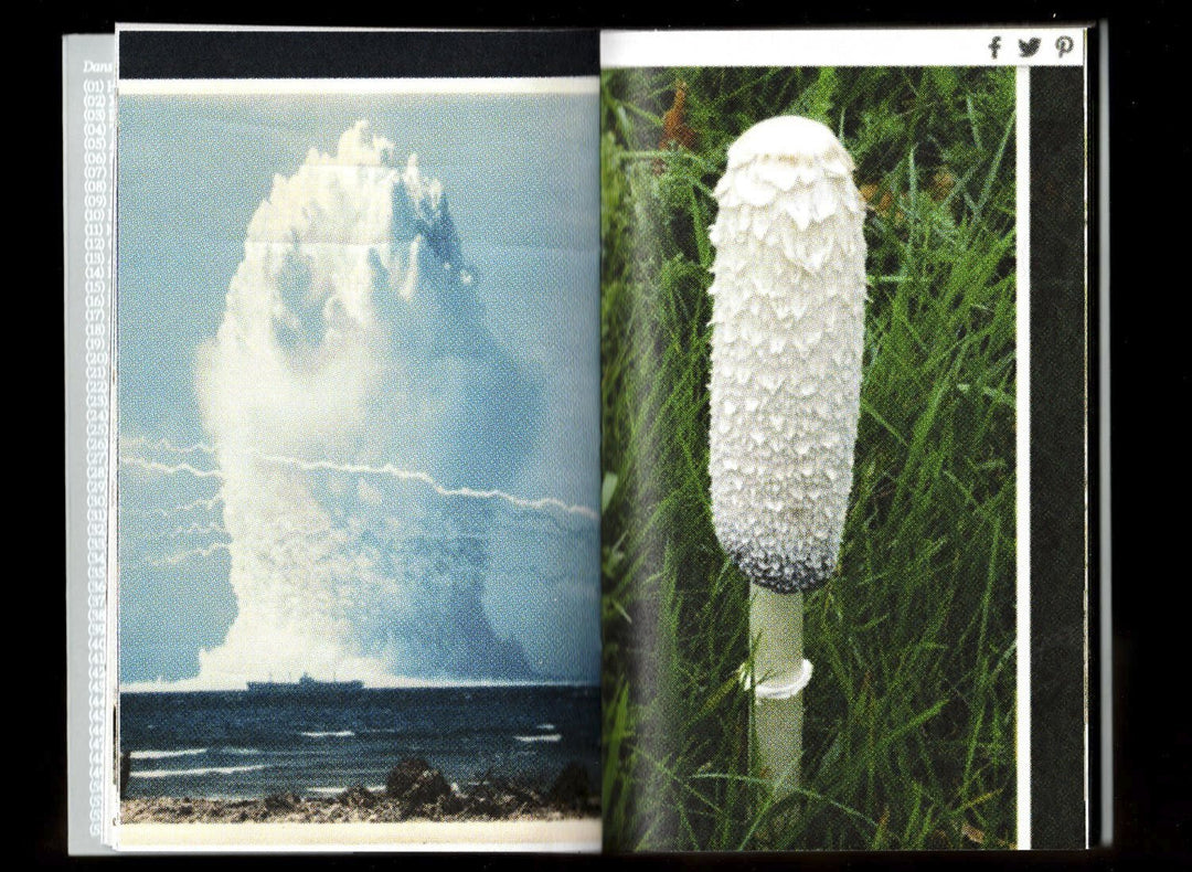 Pyrocumulus, un atlas de champignons by Valia Russo - Tipi bookshop