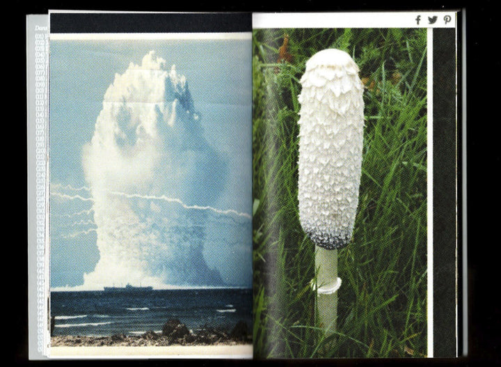 Pyrocumulus, un atlas de champignons by Valia Russo - Tipi bookshop