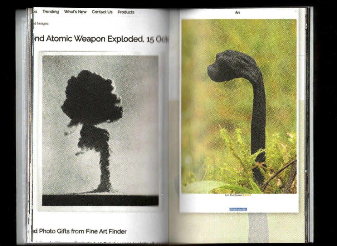 Pyrocumulus, un atlas de champignons by Valia Russo - Tipi bookshop