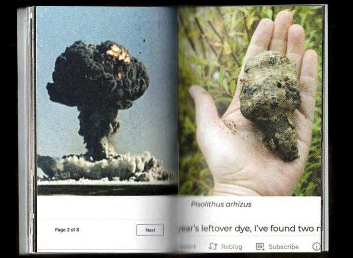 Pyrocumulus, un atlas de champignons by Valia Russo - Tipi bookshop