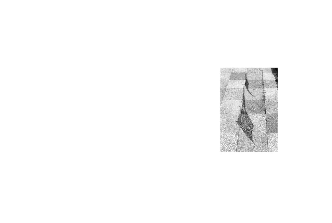 Qua non ci piove by Massao Mascaro - Tipi bookshop