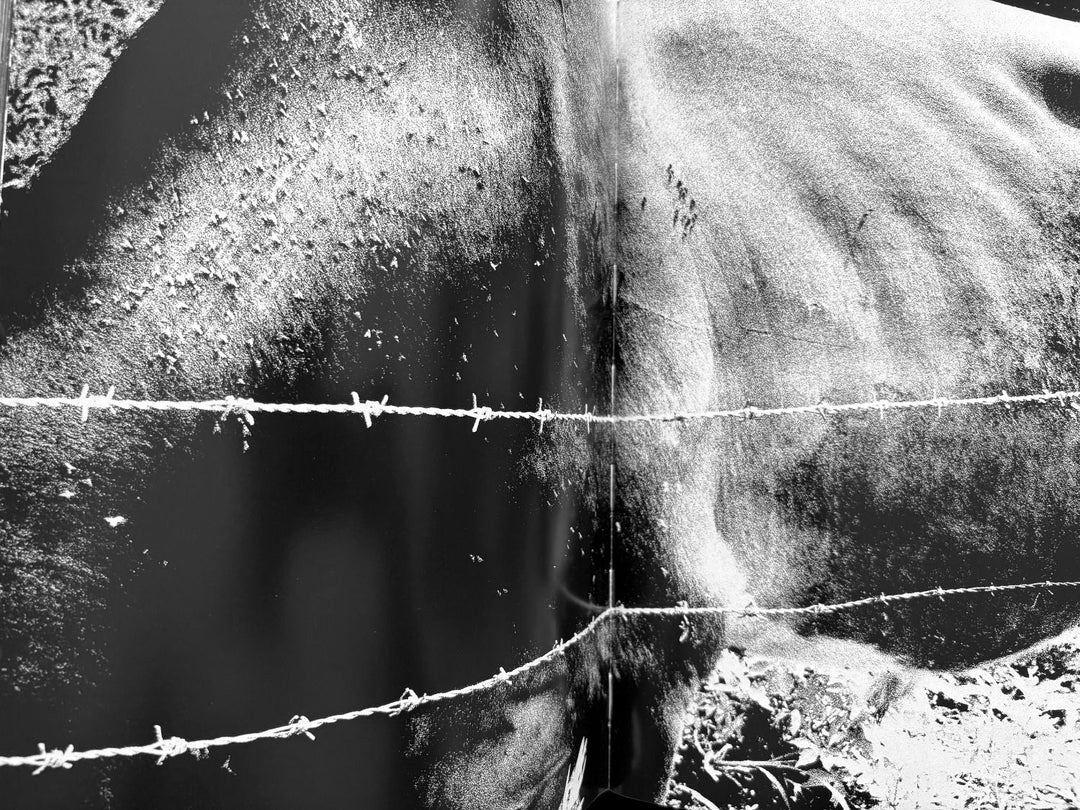 Quartet by Daido Moriyama - Tipi bookshop