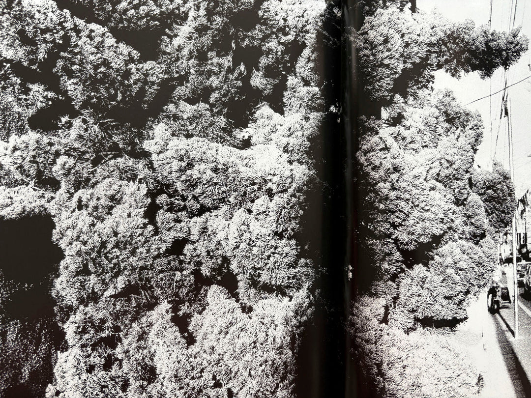 Quartet by Daido Moriyama - Tipi bookshop