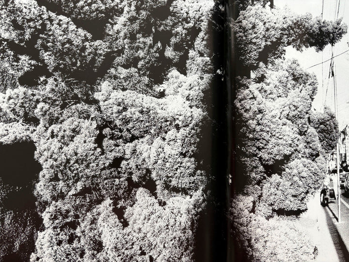 Quartet by Daido Moriyama - Tipi bookshop