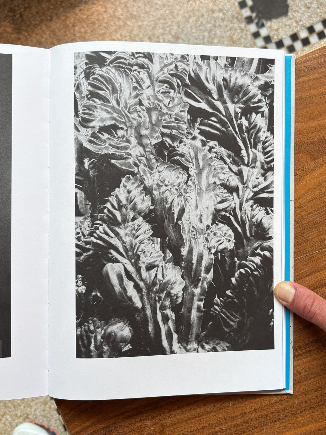 Que le feu soit tendre, que la mer soit bonne by Elsa Martinez & Marie Hervé - Tipi bookshop