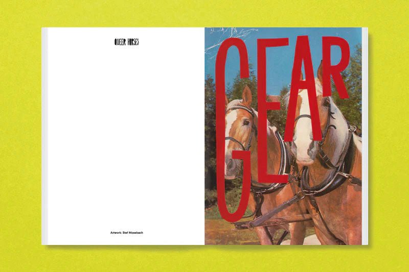 Queer horses by Stefan Mosebach - Tipi bookshop