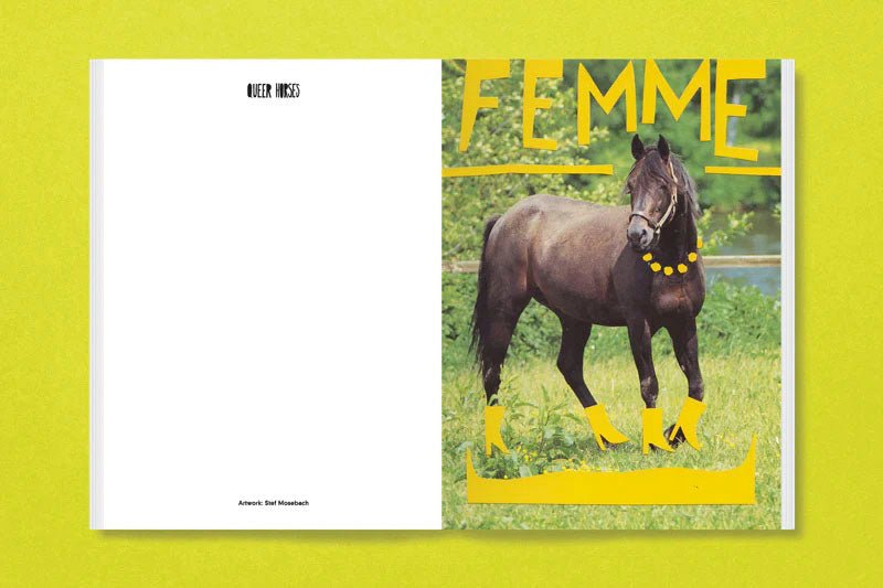 Queer horses by Stefan Mosebach - Tipi bookshop