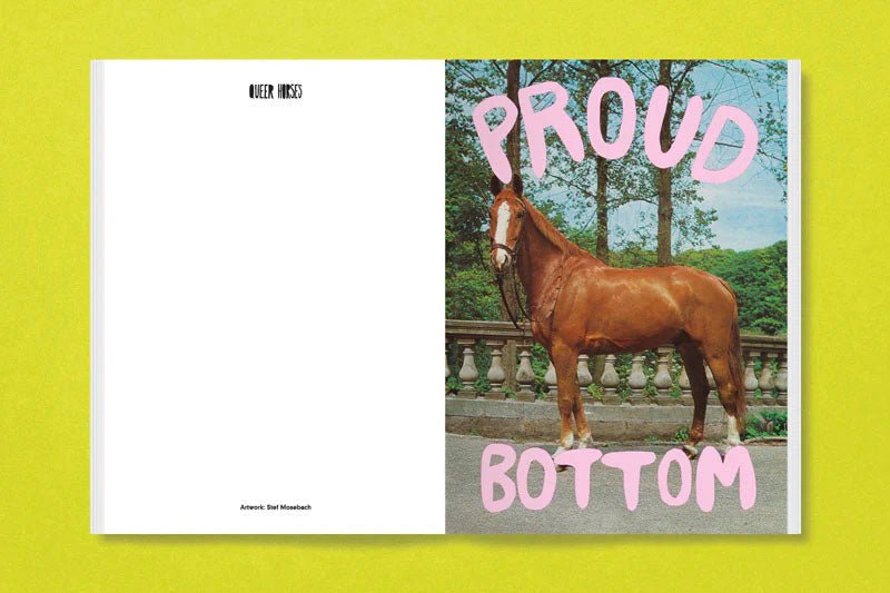 Queer horses by Stefan Mosebach - Tipi bookshop