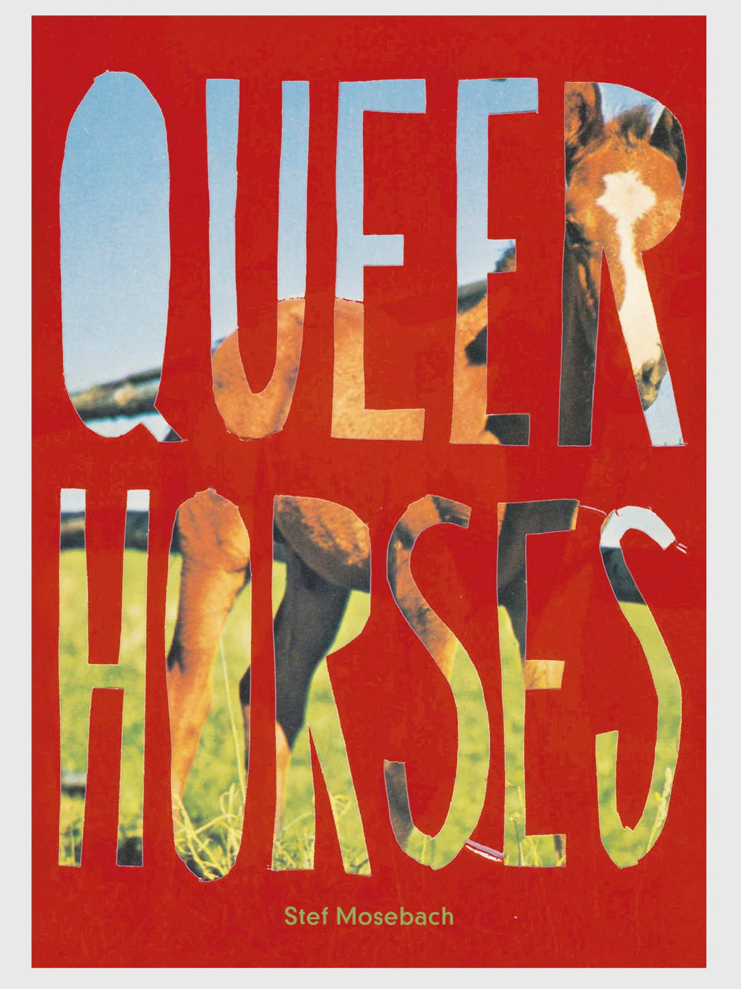 Queer horses by Stefan Mosebach - Tipi bookshop