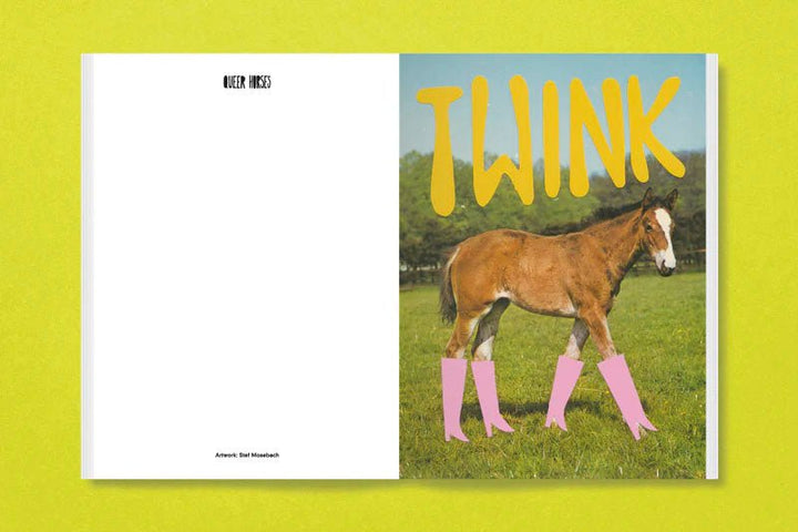 Queer horses by Stefan Mosebach - Tipi bookshop