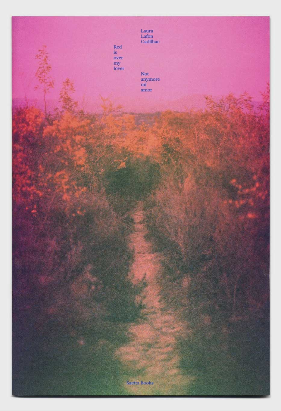 Red is over my lover. Not anymore mi amor by Laura Lafon Cadilhac - Tipi bookshop