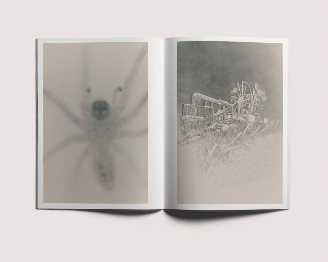 Road to the farm & Stains & ashes by Ola Rindal - Tipi bookshop