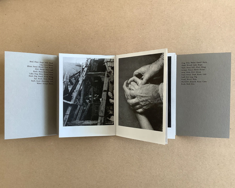 Rock. Bird. Fire. by Boris Snauwaert - Tipi bookshop