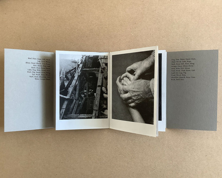 Rock. Bird. Fire. by Boris Snauwaert - Tipi bookshop