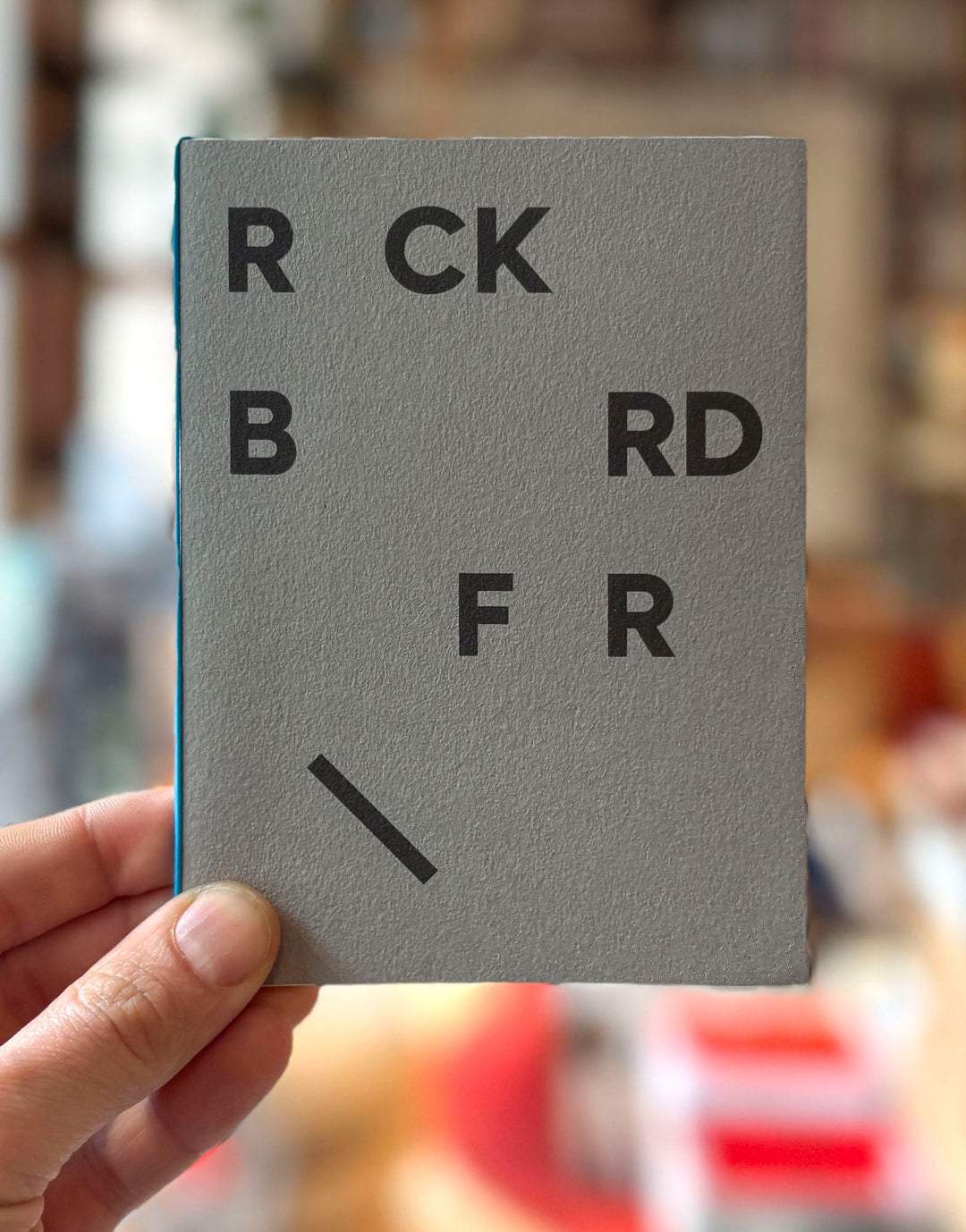 Rock. Bird. Fire. by Boris Snauwaert - Tipi bookshop