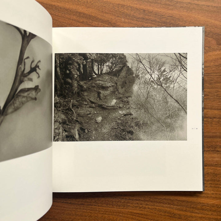 Roganfudoki by Masahito Agake - Tipi bookshop