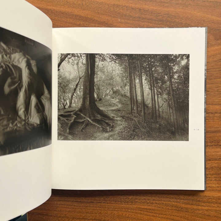 Roganfudoki by Masahito Agake - Tipi bookshop