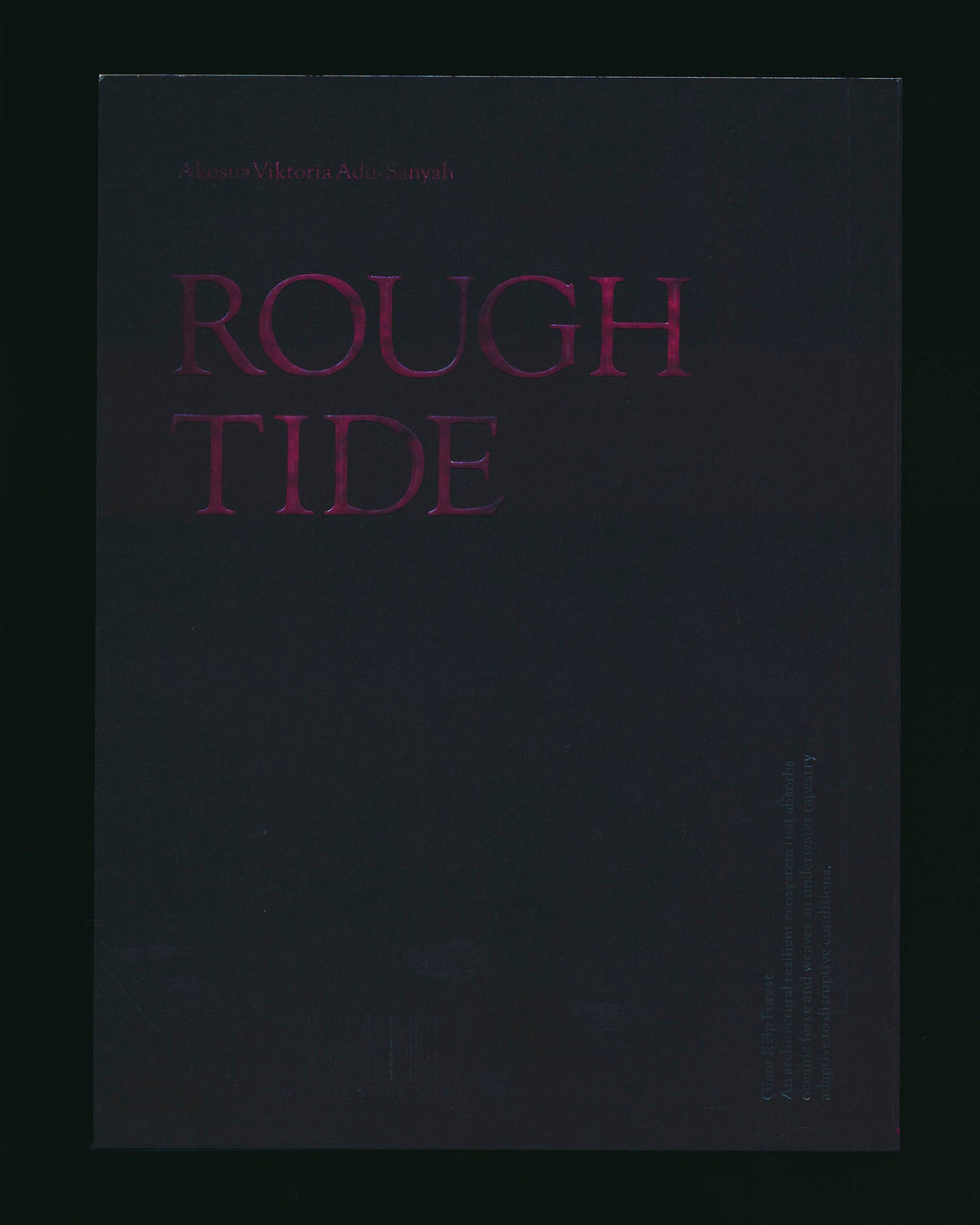 Rough Tide by Akosua Viktoria Adu - Sanyah - Tipi bookshop