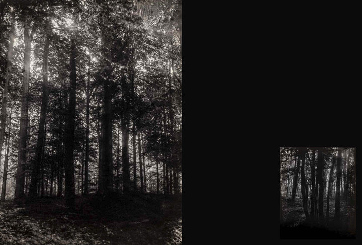 Sacro Silenzio by Silvano Magnone - Tipi bookshop